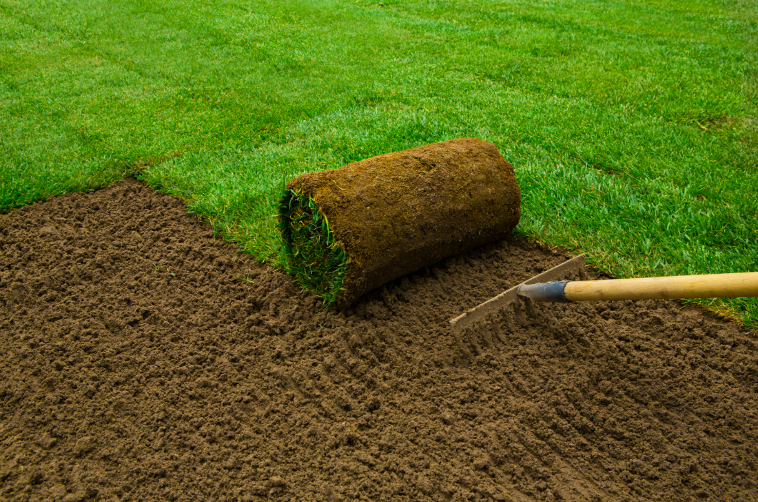 Acidifying your soil