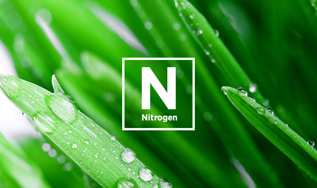 What are the Completely different Types of Nitrogen? – Easy Garden Options