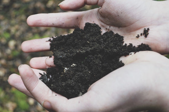 hands holding soil