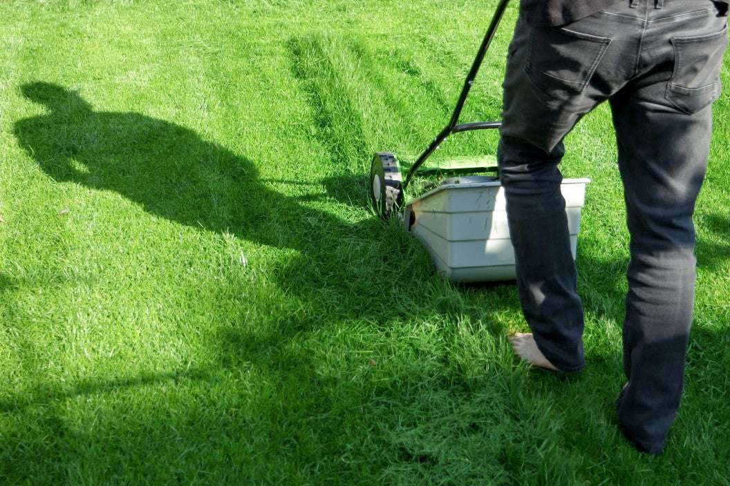 Improve Your Lawn by Using This Lazy Man's Mowing Tip