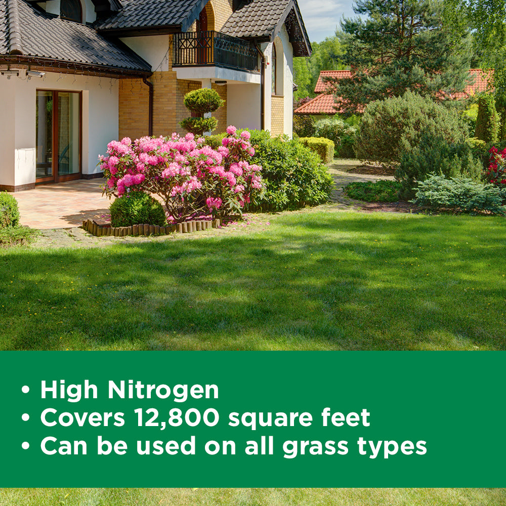 Beauitful front lawn with trees and shrubs on a sunny day