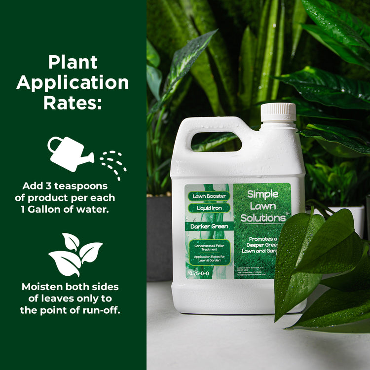 iron fertilizer in front of plants. Plant application rates for iron are 3 tsp per 1 gallon of water.