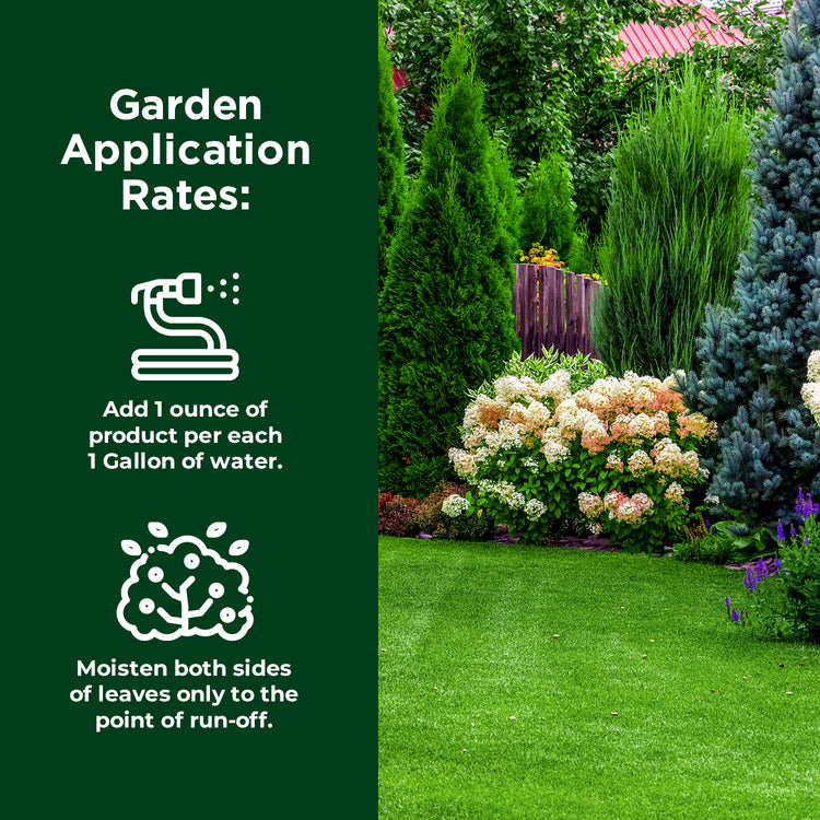 Bright green Lawn and garden with iron application rates for garden