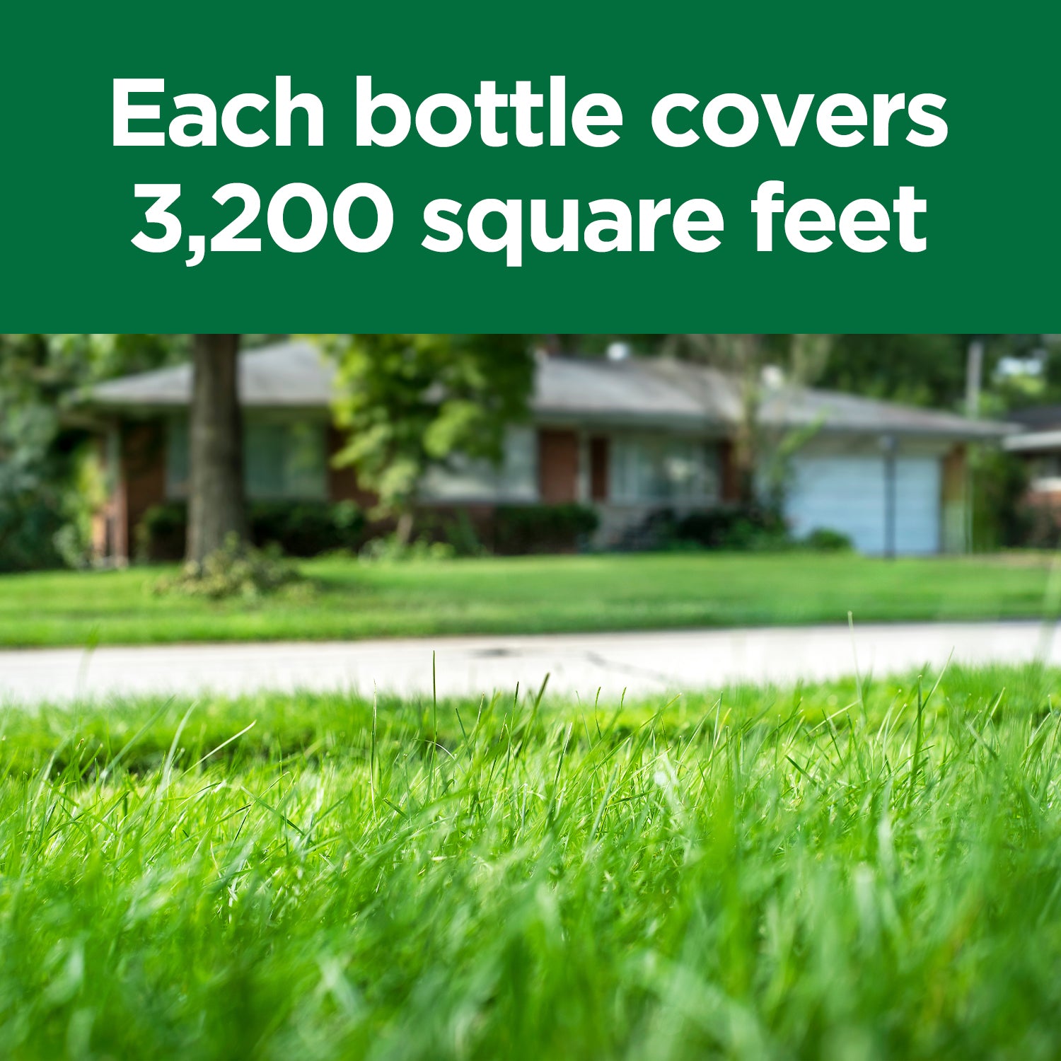 Close-up of green grass with text 'Each bottle covers 3,200 square feet'