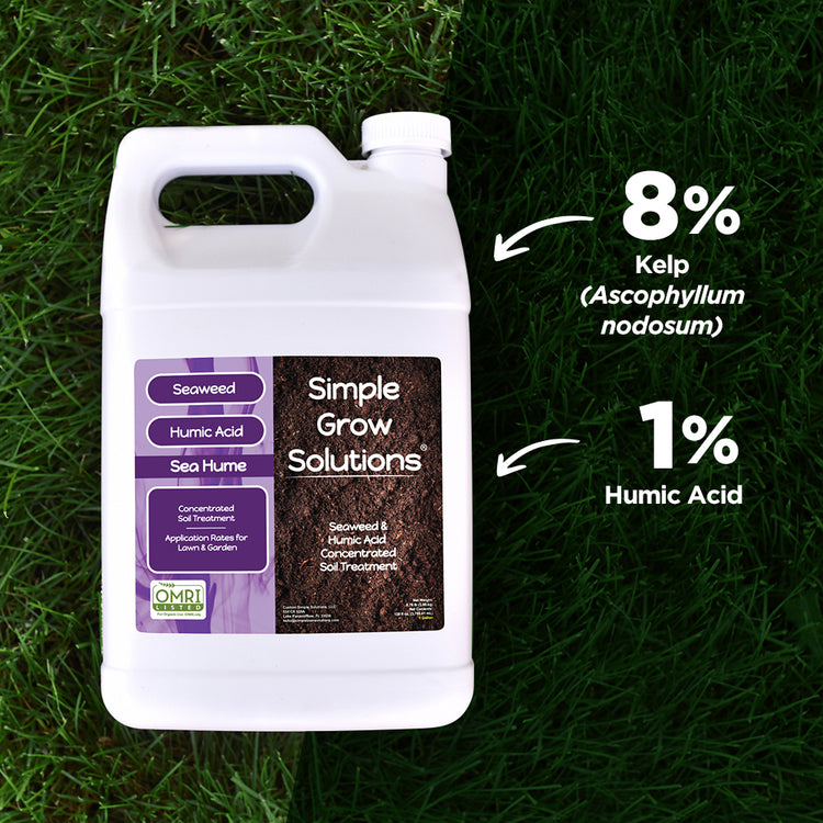 omri certified seaweed and Humic Acid fertilizer on a dark green lawn