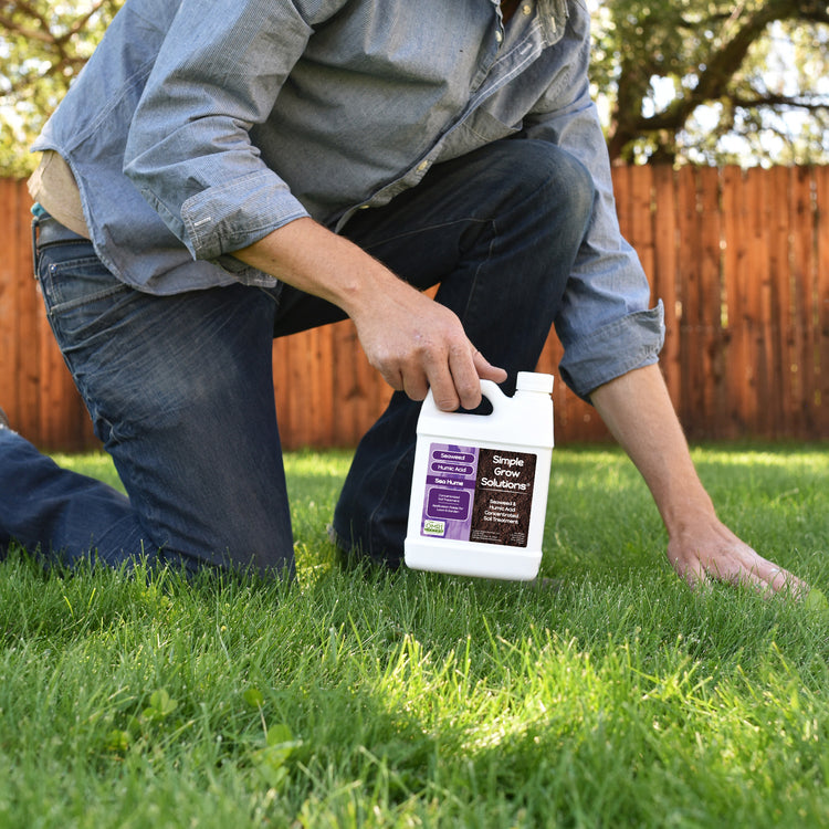 Organic lawn care with seaweed