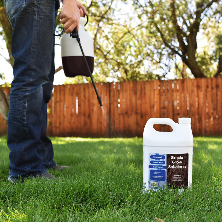 Seaweed Humic Acid lawn fertilizer for a green lawn