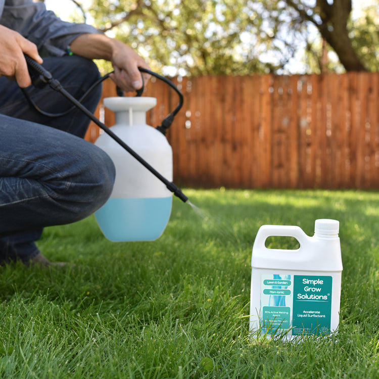 Accelerate Liquid Non-Ionic Surfactant (32 Ounce) applied with a pump-sprayer to a lawn