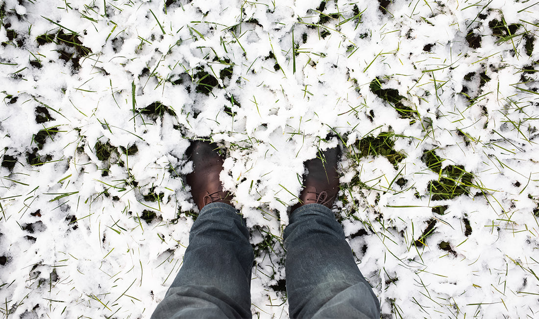 Standing on grass covered in snow 