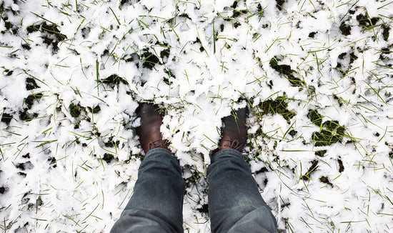 Standing on grass covered in snow 