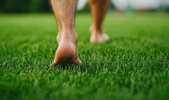 Bare feet walking on a dense low cut green lawn