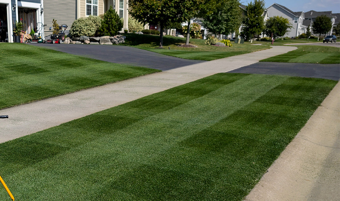 Photo of a deep green, checkered pattern lawn