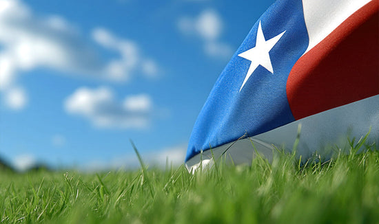 American flag on a lawn
