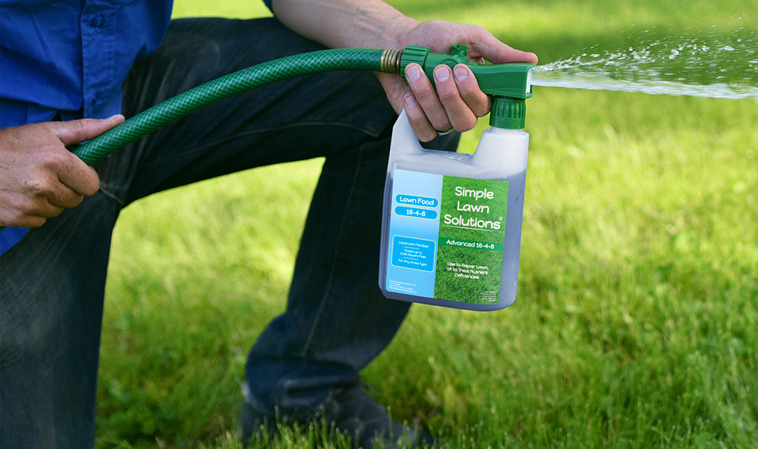 Fertilizing Responsibly: A Guide to a Healthy Lawn and Environment