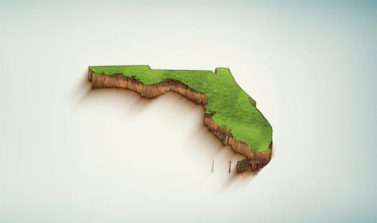 Florida state cut out with grass