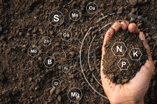 nutrients in soil, hand holding soil, nitrogen, potassium, phosphorus, micronutrients
