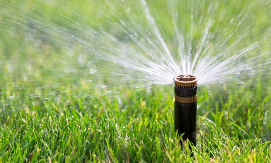 lawn sprinkler