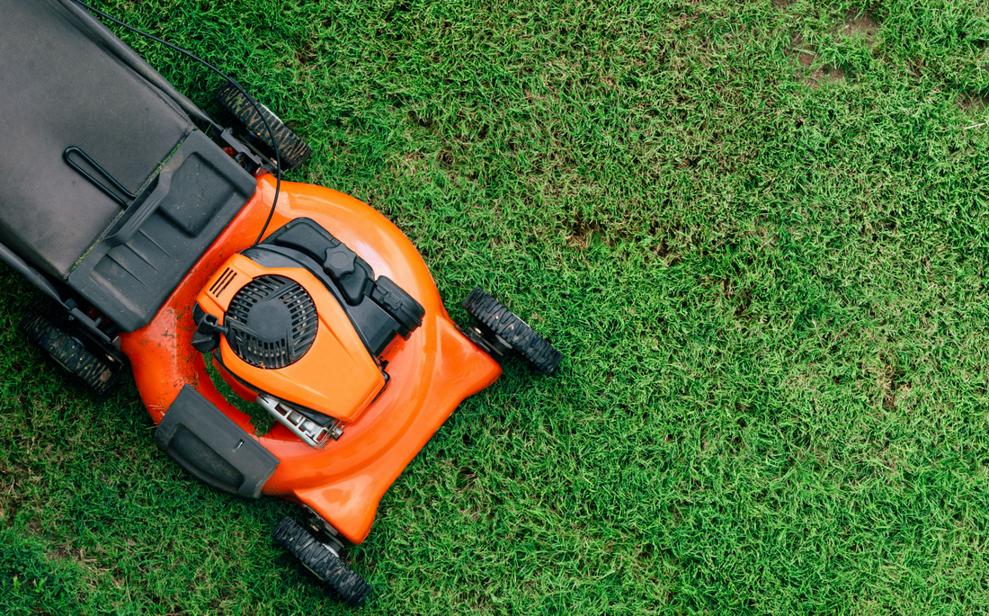 Lawn mower on green grass
