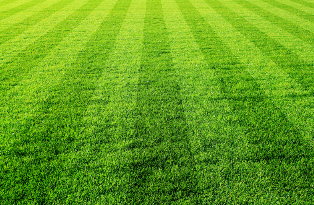 Striped lawn