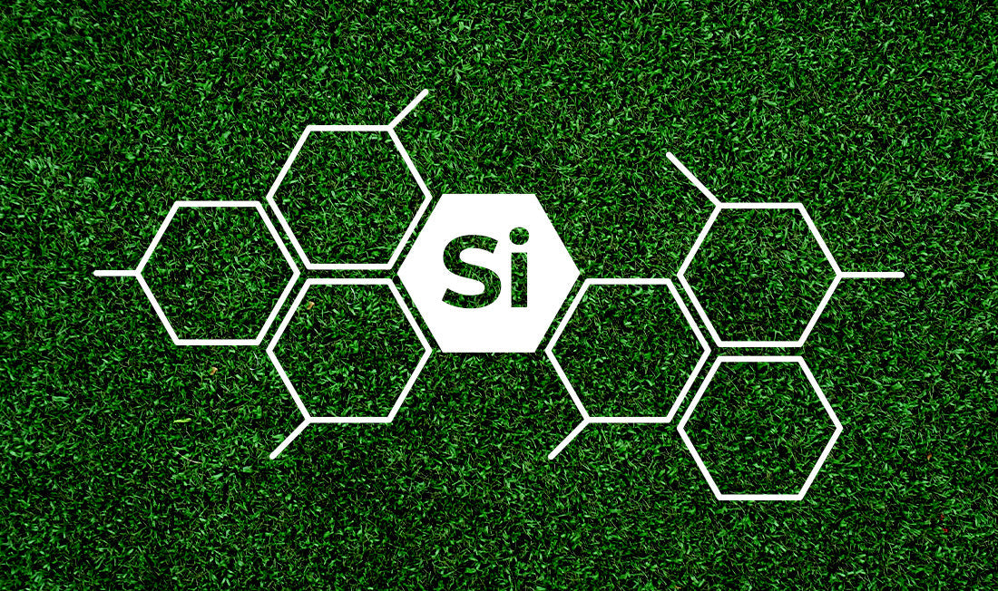 Silicon displayed as "SI" over green grass background