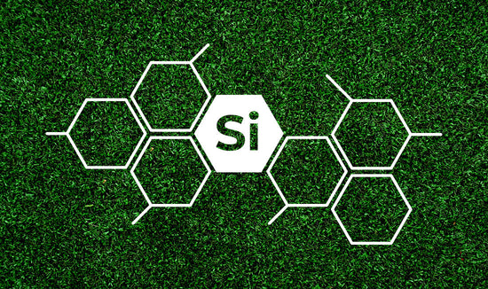 Silicon displayed as "SI" over green grass background