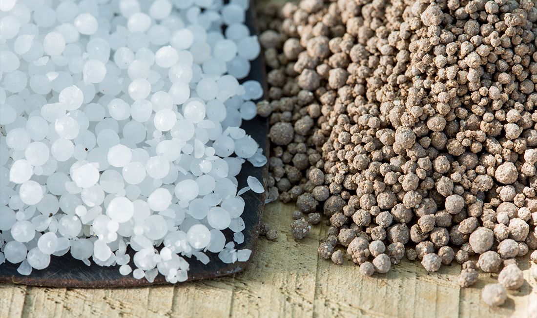 Close-up photo of granular fertilizer