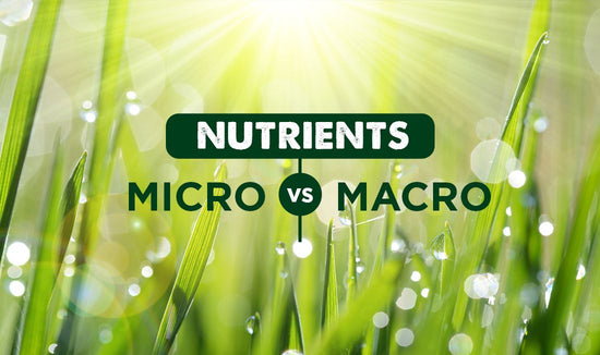 Macro nutrients versus micro nutrients