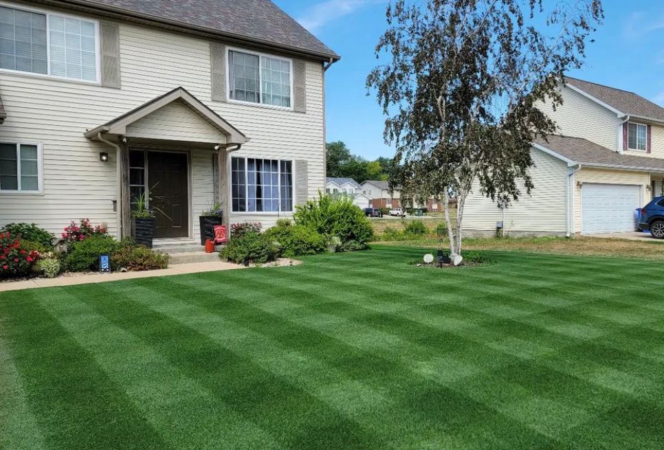 Beautiful striped lawn from ryan knorr lawn care