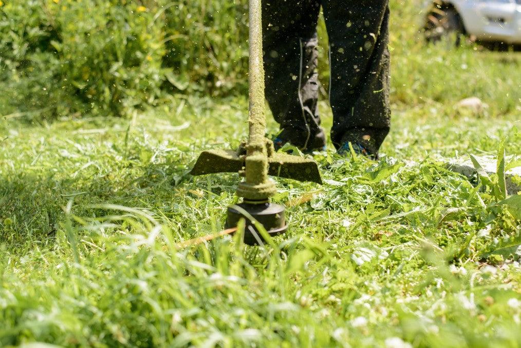 grass being cut
