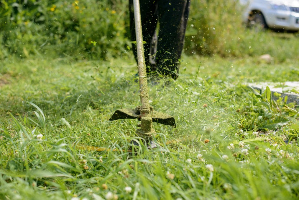 long green grass getting cut