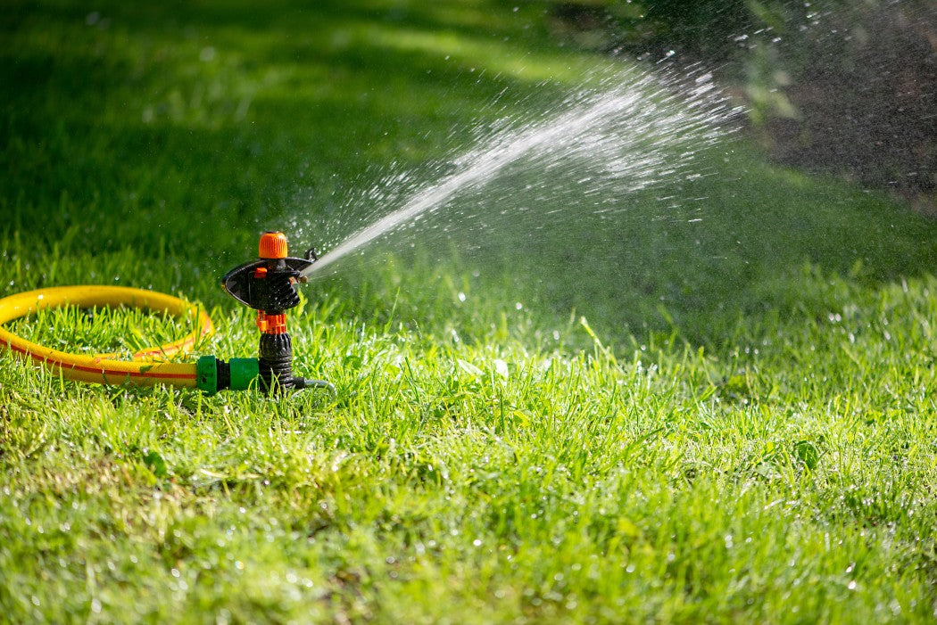 Sprinkler watering grass.