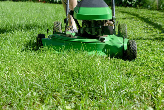lawn mower with grass