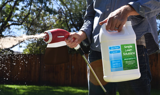 Liquid lawn fertilizer applied with hose-end sprayer