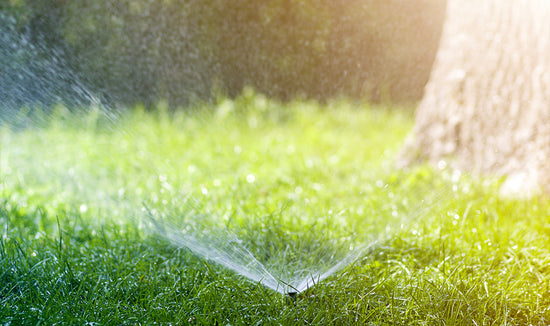 Sprinkler spraying on a green lawn in the summer