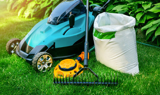 Lawn mower, lawn edger, rake and bag of seed assembled ona green lawn in front of shrubery