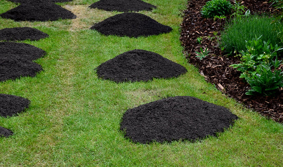 piles of soil on a green lawn