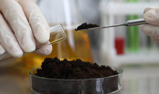 Soil testing sample in a lab