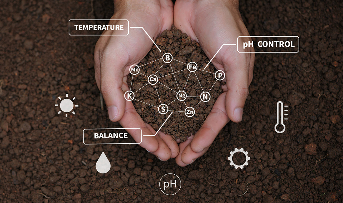 Person holding dark brown soil with decorative icons and text, 'temperature, balance, pH control'