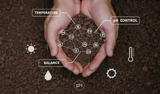 Person holding dark brown soil with decorative icons and text, 'temperature, balance, pH control'