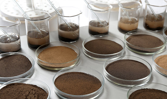 Soil samples in a laboratory, soil testing