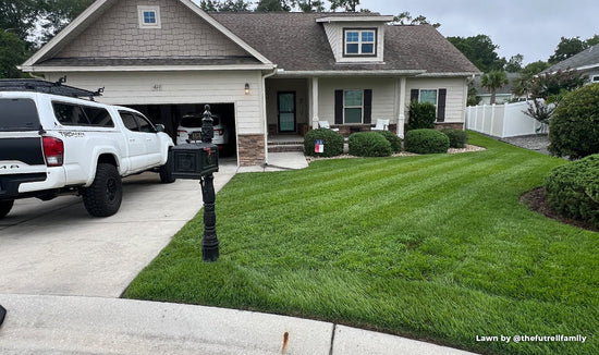 Photograph of a Simple Lawn Solutions' customer front lawn, a deep green Zoysia lawn