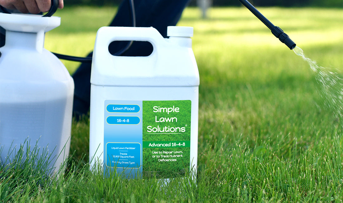 Photograph of someone applying 16-4-8 Lawn Food with a pump sprayer to lawn