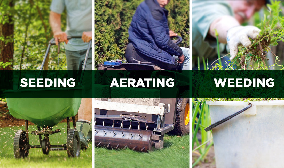 Triptec image of Man seeding a lawn with a spreader, core aerating, and weeding a lawn 