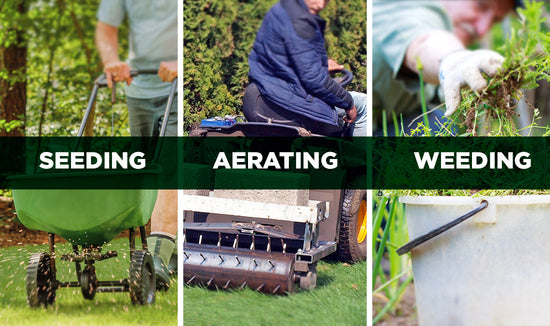 Triptec image of Man seeding a lawn with a spreader, core aerating, and weeding a lawn 