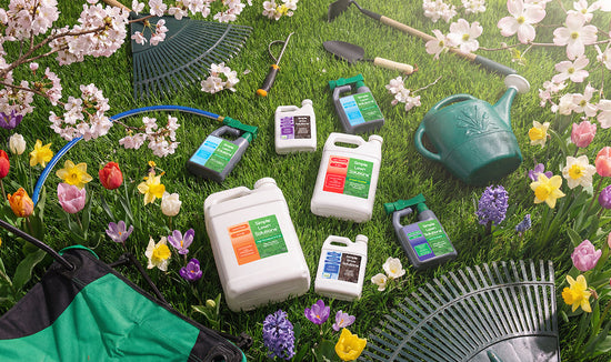 Collection of Simple Lawn Solutions fertilizers and soil amendments laying on top of green grass with flowers and gardening tools