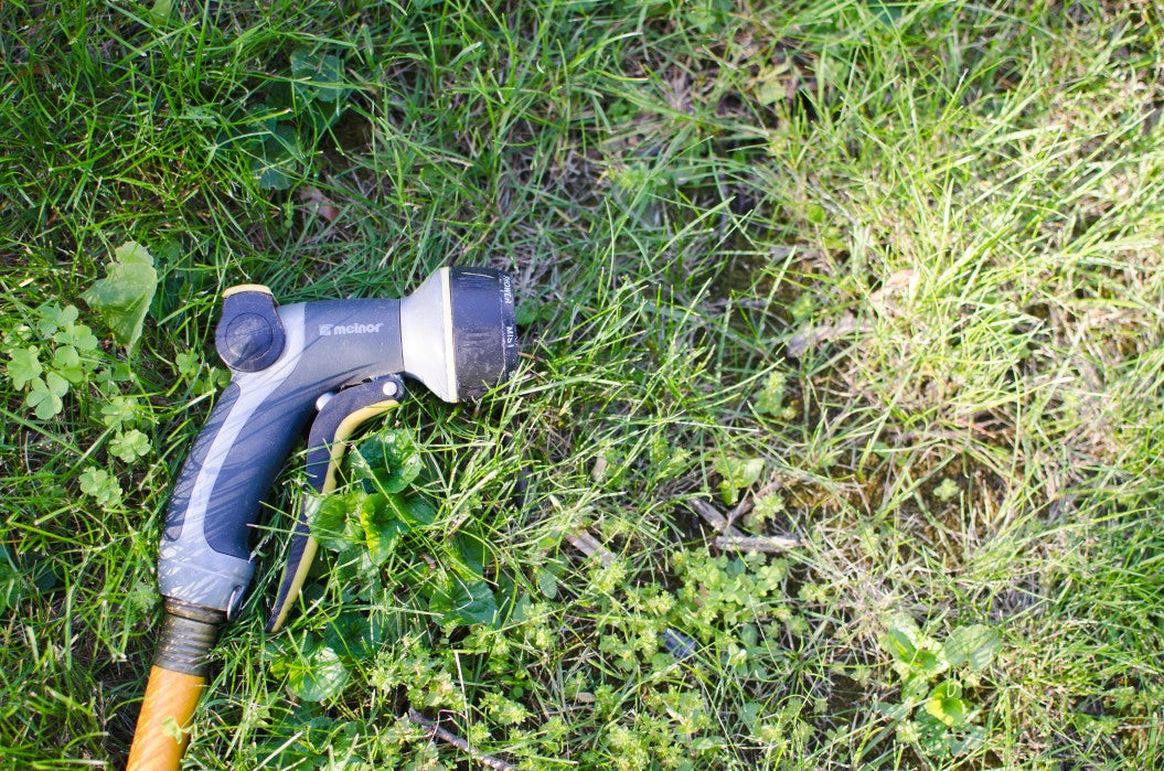 hose sprayer on lawn