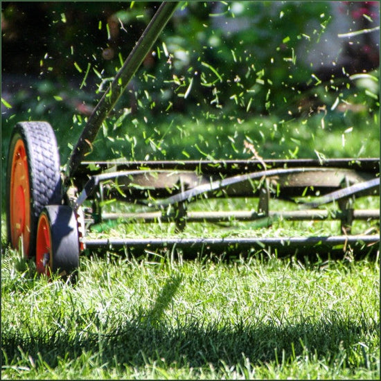 push mower cutting grass