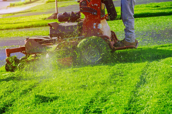 lawn mower cutting grass