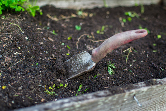 dirt in gardening bed with shovel