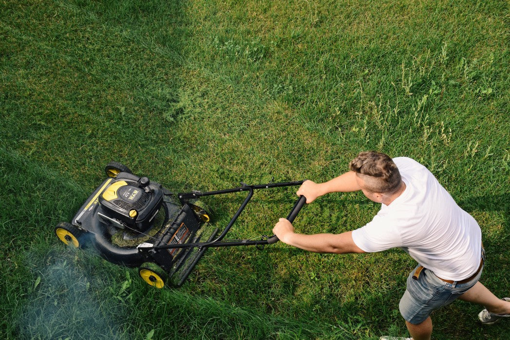 Person cutting lawn